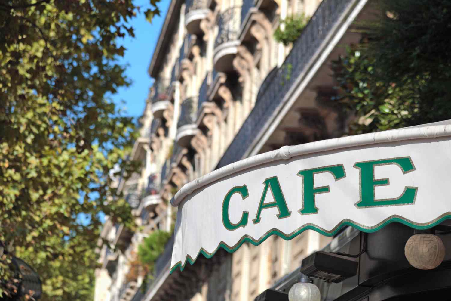cafes in Paris offering vegan food