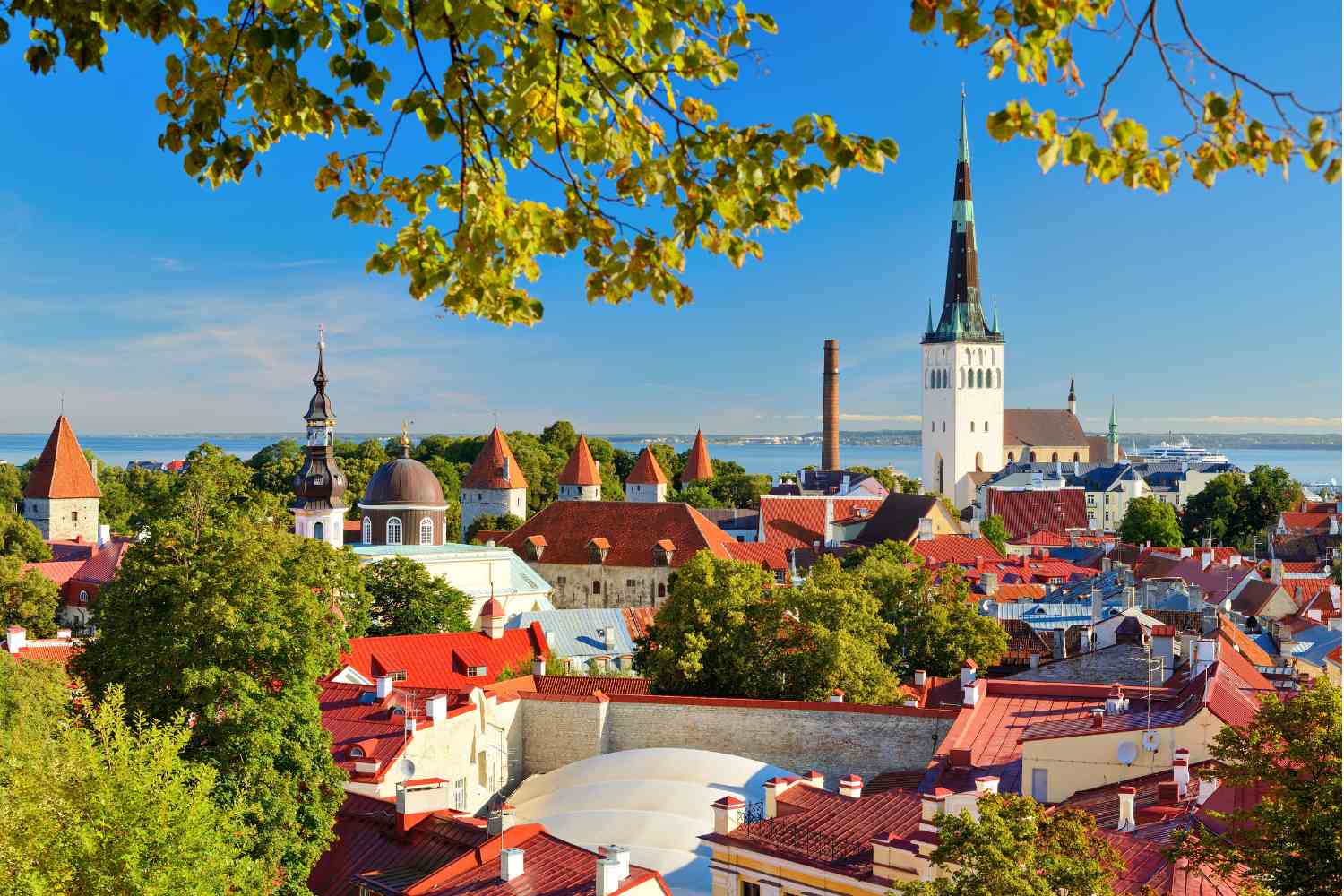 Tallinn green city